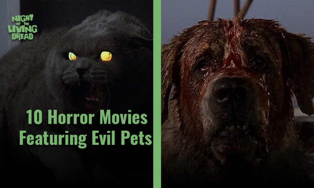 10 Horror Movies Featuring Pets Night of the Living Dread