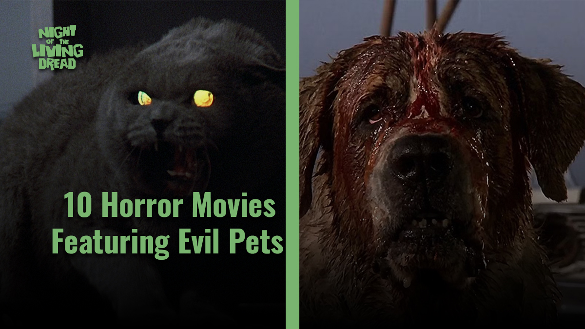 10 Horror Movies Featuring Pets Night of the Living Dread